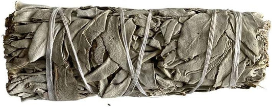 Sauge Blanche 10cm